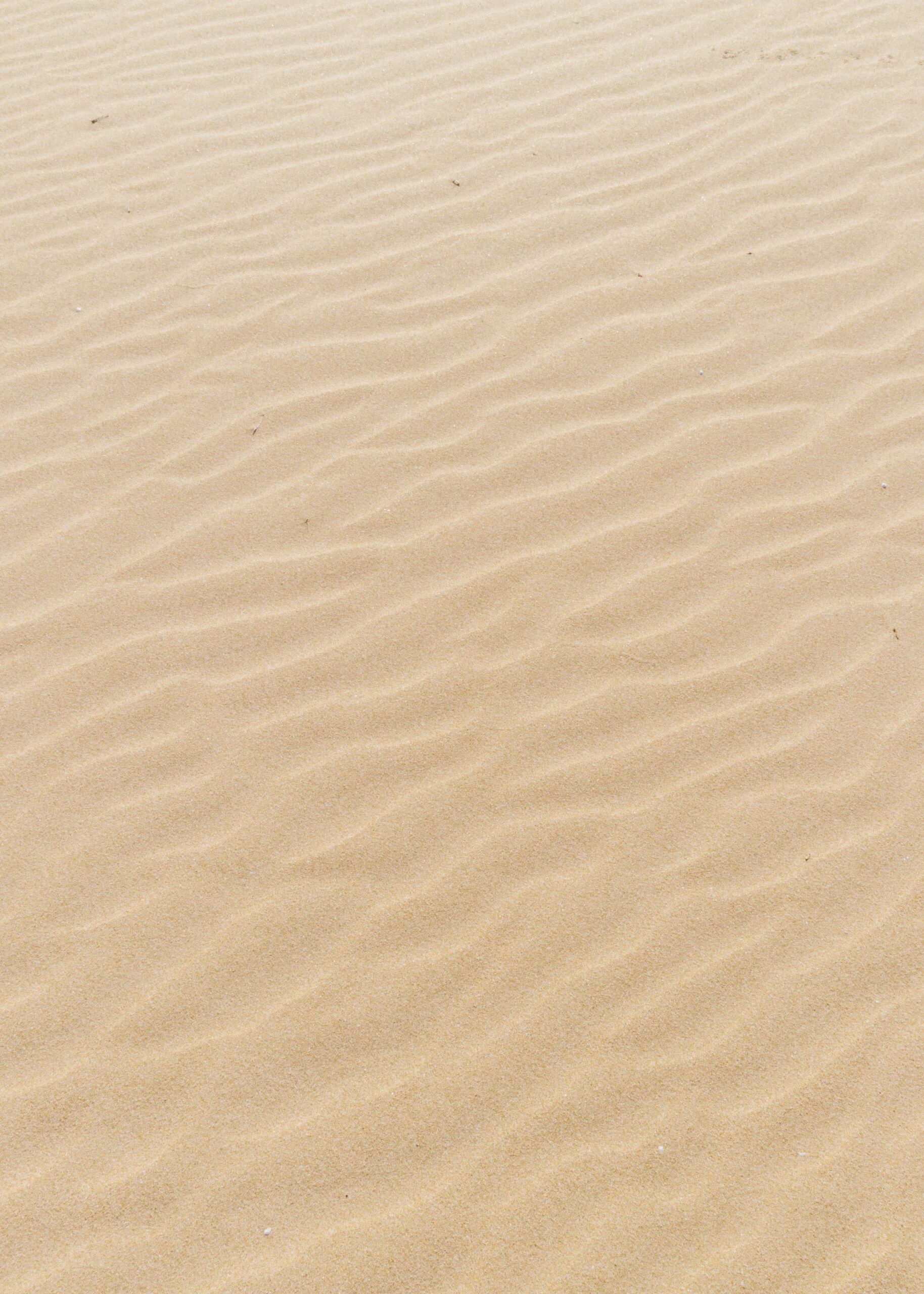sabbia1